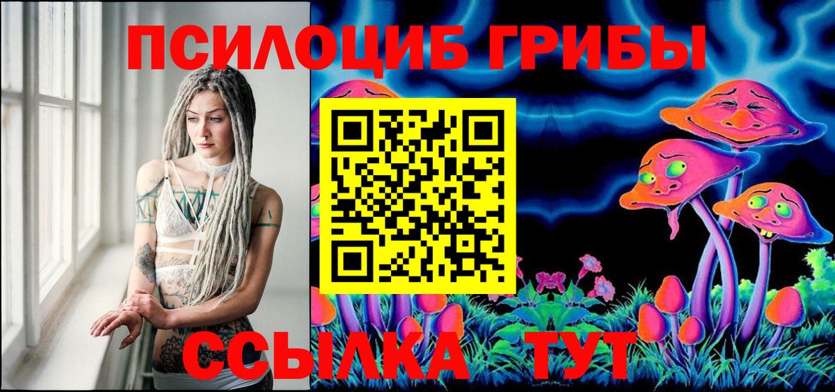 Галлюциногенные грибы Magic Shrooms  Вход с VPN  Нурлат  наркошоп  Псилоцибиновые грибы GOLDEN TEACHER 