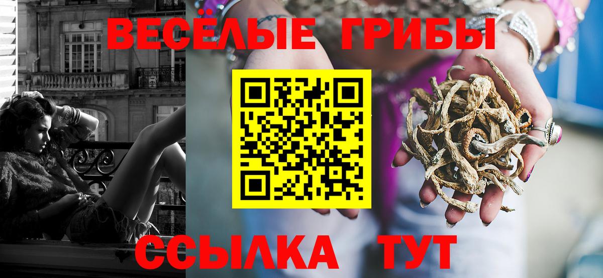 Галлюциногенные грибы Cubensis Нурлат
